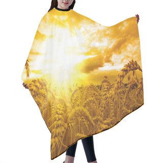 Personality  Golden Sunset Over Wheat Field Hair Cutting Cape