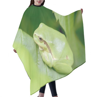 Personality  Green Frog Hair Cutting Cape