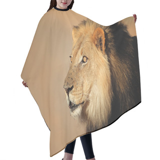 Personality  African Lion Portrait Hair Cutting Cape