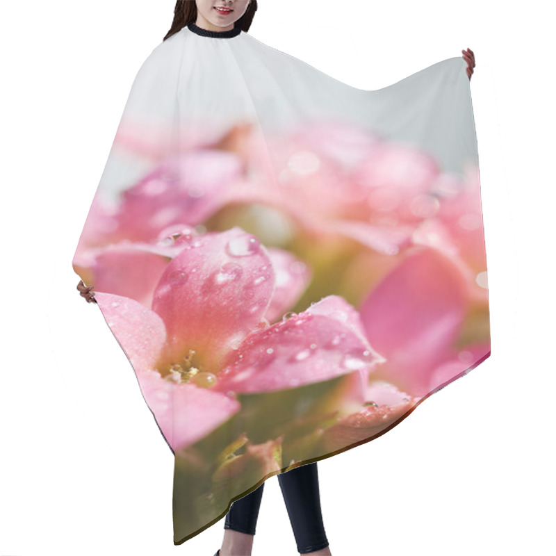 Personality  Water drops in the pink flowers hair cutting cape