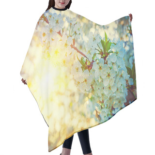 Personality  Blossoming Cherry Tree Hair Cutting Cape