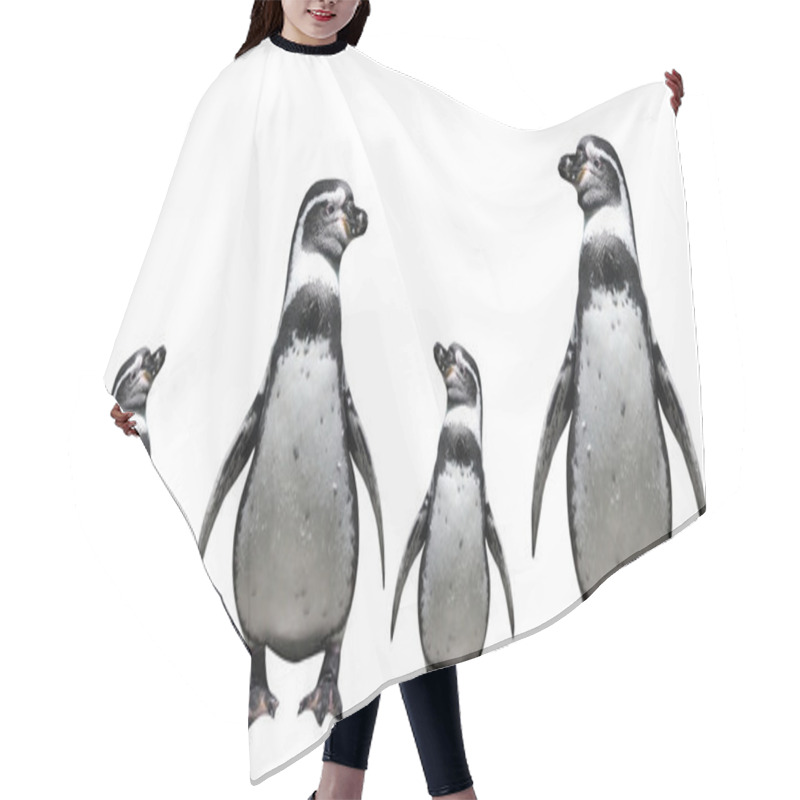 Personality  Penguins Family. Hair Cutting Cape