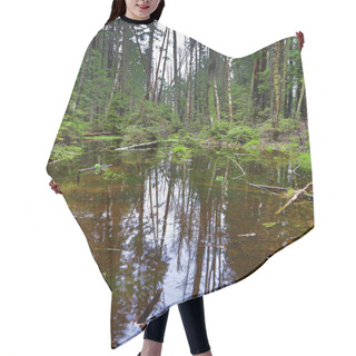 Personality  Picturesque Spring Forest And River. Hair Cutting Cape