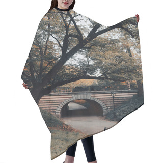 Personality  Pedestrian Bridge And Walkway Under Green Trees In Central Park Of New York City Hair Cutting Cape