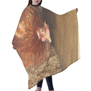 Personality  Hen In Nest With Eggs Hair Cutting Cape