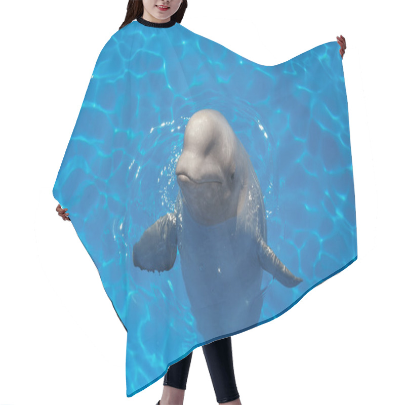 Personality  Beluga Whale (white Whale) In Water Hair Cutting Cape