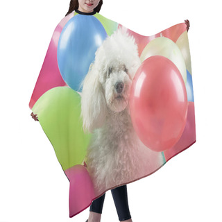 Personality  Dog With Balloons Hair Cutting Cape