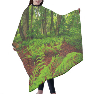 Personality  Magic Green Forest  Hair Cutting Cape