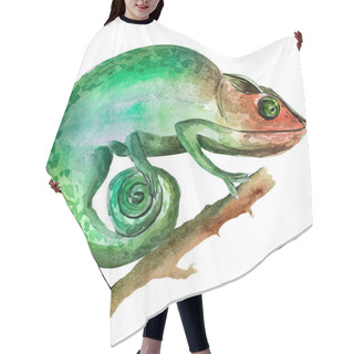 Personality  Chameleon On A Branch Watercolor Illustration. Template For Decorating Designs And Illustrations. Hair Cutting Cape