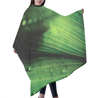 Personality  Close-up View Of Green Natural Background With Dew Drops Hair Cutting Cape
