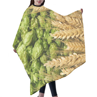 Personality  Fresh Green Hops And Wheat Spikes As Background. Beer Production Hair Cutting Cape