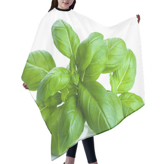 Personality  Basil Leaves Isolated Hair Cutting Cape