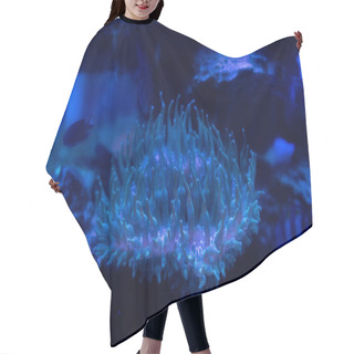 Personality  Coral Under Water In Aquarium With Blue Lighting Hair Cutting Cape