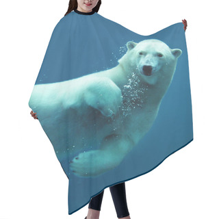 Personality  Polar Bear Underwater Close-up Hair Cutting Cape