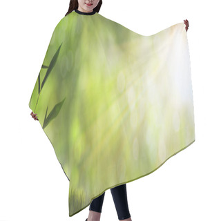 Personality  Abstract Misty Natural Backgrounds Hair Cutting Cape