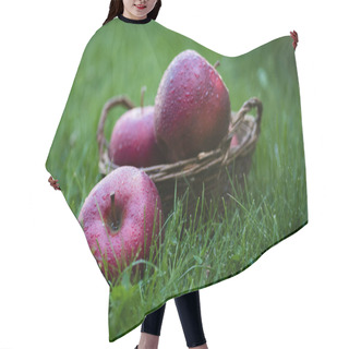 Personality  Fresh Picked Red Apples Hair Cutting Cape