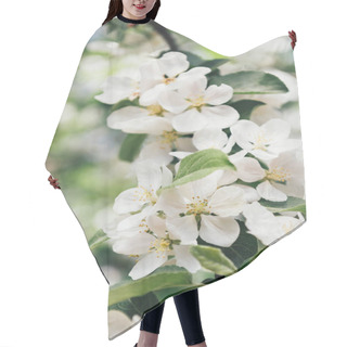 Personality  Close Up View Of White Apple Tree Bloom With Leaves Hair Cutting Cape