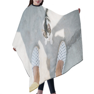Personality  Cropped Image Of Woman Standing With Cute Funny Cat  Hair Cutting Cape