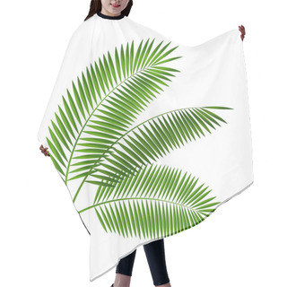 Personality  Palm Leaf Vector Illustration Hair Cutting Cape