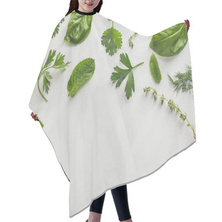 Personality  Top View Of Basil, Dill, Peppermint, Cilantro, Parsley And Thyme Twigs On White Background Hair Cutting Cape