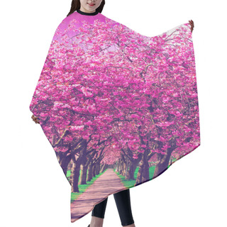 Personality  Walk Path Surrounded With Blossoming Plum Trees Hair Cutting Cape