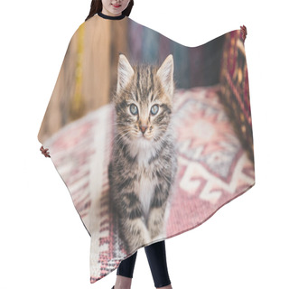 Personality  Kitten Hair Cutting Cape