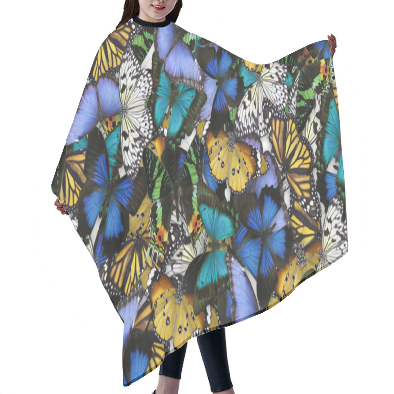 Personality  Many Different Bright Butterflies As Background. Beautiful Insect Hair Cutting Cape