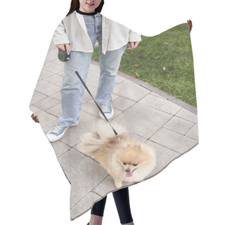 Personality  Cropped View Of Woman Walking With Adorable Pomeranian Spitz On Roulette Leash, Urban Lifestyle Hair Cutting Cape