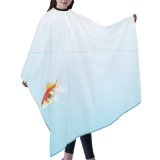 Personality  Transparent Pure Calm Water With Swimming Goldfish On Blue Background Hair Cutting Cape