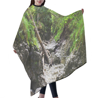 Personality  Gorge Of Slovak Paradise Hair Cutting Cape