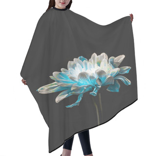 Personality  Studio Shot Of Blue And White Flower, Isolated On Black With Copy Space Hair Cutting Cape
