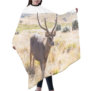 Personality  Wild Deer Hair Cutting Cape