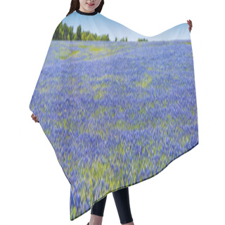 Personality  A Wide Angle High Resolution Panoramic View Of Texas Wildflowers. Hair Cutting Cape