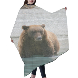 Personality  Grizzly Bear Fishing In An Alaskan Lake Hair Cutting Cape
