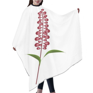 Personality  Scarlet Sage Flowers Or Salvia Splendens Flower Hair Cutting Cape