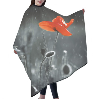 Personality  Nature Hair Cutting Cape