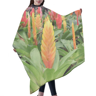 Personality  Vriesea Splendens Flower Hair Cutting Cape