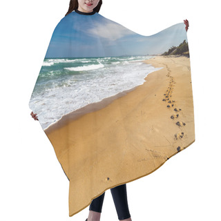 Personality  Long Road In Dune Hair Cutting Cape