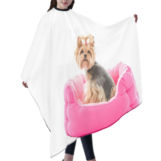 Personality  Animal Hair Cutting Cape