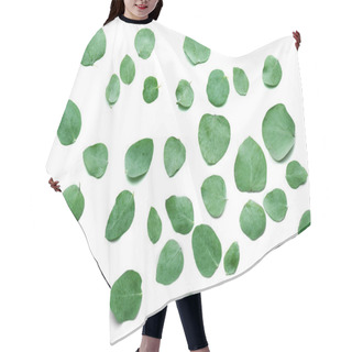Personality  Green Eucalyptus Leaves  Hair Cutting Cape