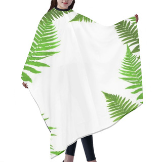 Personality  Fern Leaf Vector Background Illustration EPS10 Hair Cutting Cape
