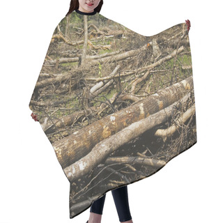 Personality  Forest Destruction Hair Cutting Cape