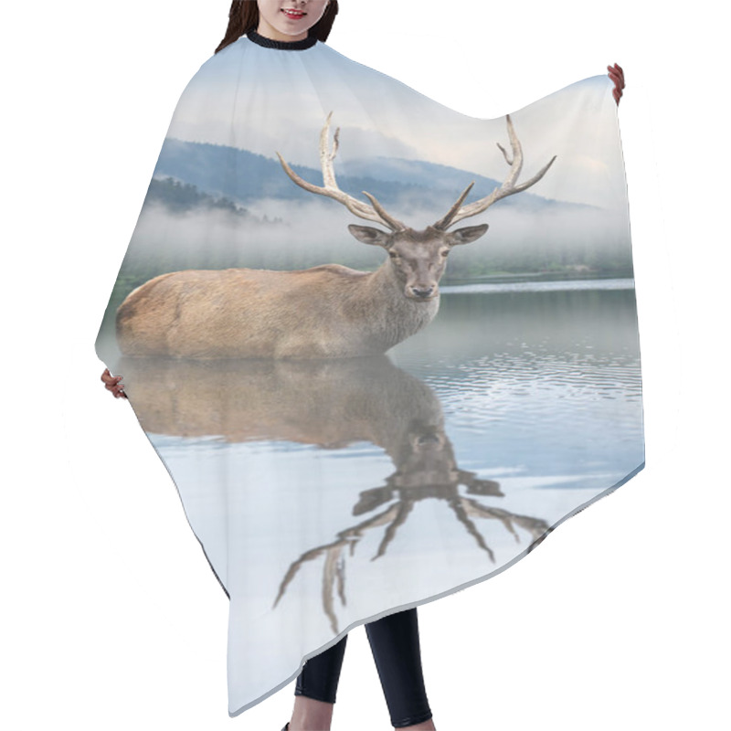 Personality  Beautiful Deer Stag Swimming In Lake On Mist Mountain Landscape With Fog Hair Cutting Cape