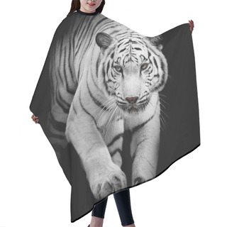 Personality  White Tiger Jumping Isolated On Black Background Hair Cutting Cape