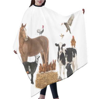 Personality  Group Of Farm Animals Hair Cutting Cape