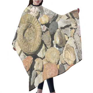 Personality  Different Fossils And Stones Hair Cutting Cape
