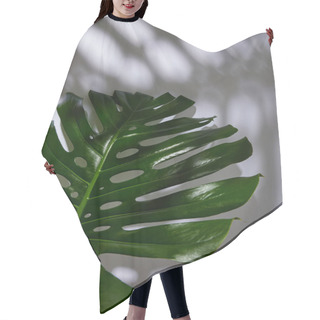 Personality  Fresh Tropical Green Leaf On White Background With Shadow Hair Cutting Cape