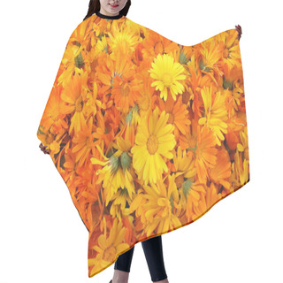 Personality  Great Number Of Orange Calendula Hair Cutting Cape