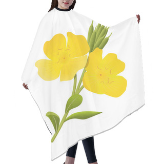 Personality  Yellow Evening Primrose. Sundrop, Suncup Or Oenothera Fruticose Flower And Leaf Isolated Hair Cutting Cape