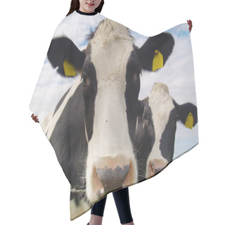 Personality  Cows On Pasture Hair Cutting Cape